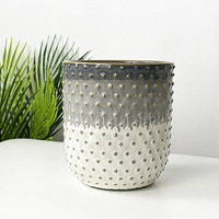 Pot de fleurs hydroponique pour plantes vertes, style nordique minimaliste, dégradé effet fourné, gaufré, résistant à la corrosion