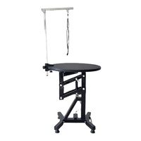 Table de toilettage hydraulique professionnelle en acier inoxydable de haute qualité, réglable pour le bain et le coiffage des chiens, idéale pour les cliniques et les salons de toilettage.