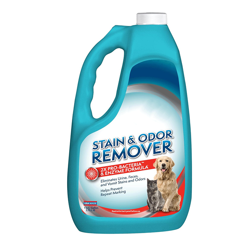 Dog Cat Carpet Urine Food Vomit