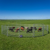 Panneaux de Contention pour Bétail en Acier Galvanisé Robuste, Portes Coulissantes, Rampes de Chargement, Clôtures Agricoles et Treillis