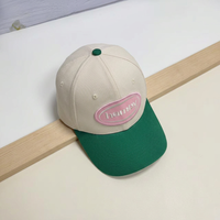 Gorra de Béisbol de Seis Paneles en Terciopelo de Algodón de Dos Colores, Personalizable con Bordado de Hojas, Venta Directa de Fábrica al Por Mayor para Adultos Unisex