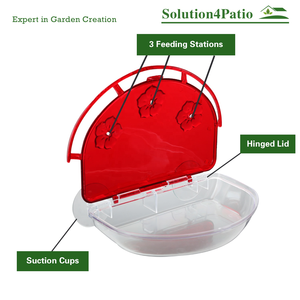 Comedero para Pájaros Silvestres con Ventosa de Plástico, Comederos para Exteriores - Product Image 6