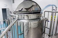 Détergent liquide 500L chauffage électrique homogénéisation mélangeur industriel cheveux shampooing faisant