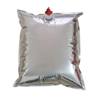 Sachets autoportants en PE thermosoudés avec valve, sacs d'emballage jetables pour boissons gazeuses, impression offset