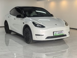 Tesla Model Y Facelift Long Range 2023 d'occasion, électrique, transmission intégrale automatique, R19, conduite à gauche, SUV pour adultes - Product Image 6