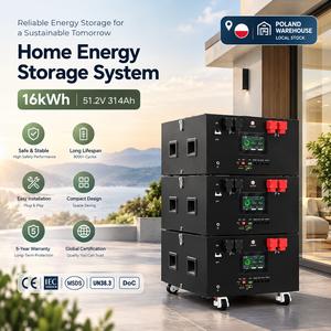แบตเตอรี่ลิเธียมโพลแลนด์สต็อก 51.2V 16kWh ชุดแบตเตอรี่ 48V Lifepo4 แบบเสียบใช้งานได้ทันที 8000 รอบการใช้งาน สำหรับเก็บพลังงานภายในบ้าน พร้อมระบบจัดการแบตเตอรี่ JK V19 BMS - Product Image 1