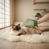 Gant de toilettage moderne pour animaux de compagnie, brosse anti-poils pour chats et chiens, outil de bain pour animaux, grattoir à poils et à peluches pour tapis