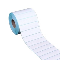 Autocollant d'étiquette portable de technologie de pointe adhésif en vinyle fort clair et résistant au plastifiant pour l'utilisation de l'appareil photo