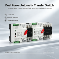 ATS Transfer Otomatis Daya Ganda untuk 2P PV 220V 230V 63A 100A 125A Din Rail PC Fasa Tunggal Kapasitas Pemutusan 6kA