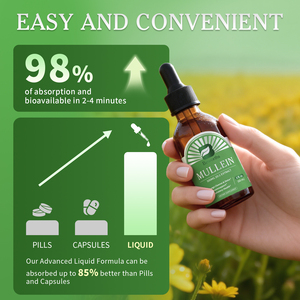 Gouttes <span class=keywords><strong>de</strong></span> molène pour un nettoyage pulmonaire sain et une respiration optimale, suppléments liquides <span class=keywords><strong>de</strong></span> qualité alimentaire, extrait <span class=keywords><strong>de</strong></span> feuille <span class=keywords><strong>de</strong></span> molène à la chlorophylle - Product Image 4