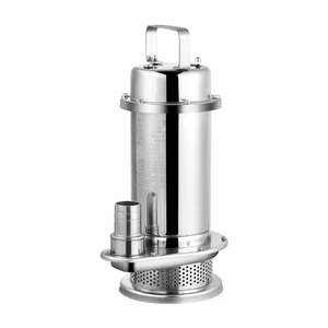 <span class=keywords><strong>Pompe</strong></span> submersible compacte 220V QDX entièrement en acier inoxydable 0,25KW à 0,55KW DN 6mm à 18mm 2900 tr/min avec cylindre de refoulement - Product Image 2