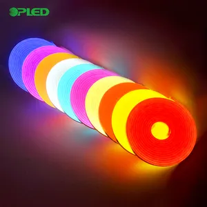 Silikon Tira Seil Luces Röhren 5V 12V RGB benutzer definierte Lampe Flex Streifen LED Neonlichter Neon LED Flex