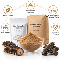 Poudre de Concombre de Mer en Vrac LongBio, Qualité Alimentaire, Protéine Marine Naturelle, Poudre de Concombre de Mer Séché Pur pour Compléments Alimentaires, OEM