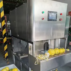 Máquina profissional do descascador mango automático 2022