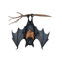 Décoration de pendentif chauve-souris de style européen et américain pour Halloween, décor d'ambiance d'horreur extérieur, accessoire de statue de vampire nocturne