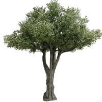 Arbre artificiel réaliste personnalisé de 10 pieds pour décoration extérieure en plastique durable en bois avec branches et feuilles naturelles