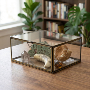 Vitrina de cristal con marco de latón para almacenamiento de cristales y fósiles - Product Image 3
