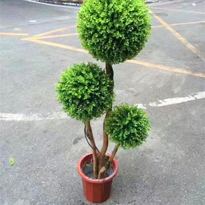 boxwood ball factory topiary artificial grass ball