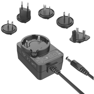 Driver LED montato a parete personalizzato staccabile US EU UK AU CV 12V 12W adattatore di alimentazione spina intercambiabile - Product Image 1