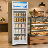 Réfrigérateur commercial pour supermarché, vitrine verticale à porte battante, refroidissement direct, capacité 380L, dégivrage manuel