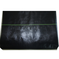 1*10 mt pp woven geotextil Unkrautbekämpfung Stoff/Membran Textilgewebe/Erosionsschutz, PE Unkraut decke, pp woven geotextil