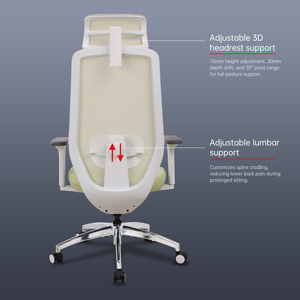 Silla ergonómica con certificación Reach de <span class=keywords><strong>ADINO</strong></span>, silla ergonómica de oficina, mecanismo de sincronización y inclinación, Oficina de asedio CIFF Guangzhou Fauteil Bureau - Product Image 5