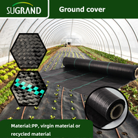 Couverture du sol pour le contrôle des mauvaises herbes des pépinières des jardins agricoles/membrane tissée en PP/géotextiles/rouleau de tapis de mauvaises herbes au meilleur prix
