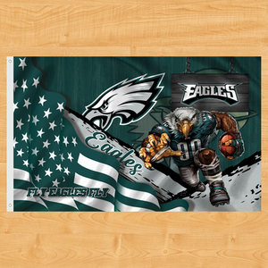 Cờ Dallas Cowboys 3x5ft chất lượng cao, có sẵn, dành cho thể thao NFL, thiết kế tùy chỉnh, 100% polyester, cờ của tất cả các đội bóng đá - Product Image 2