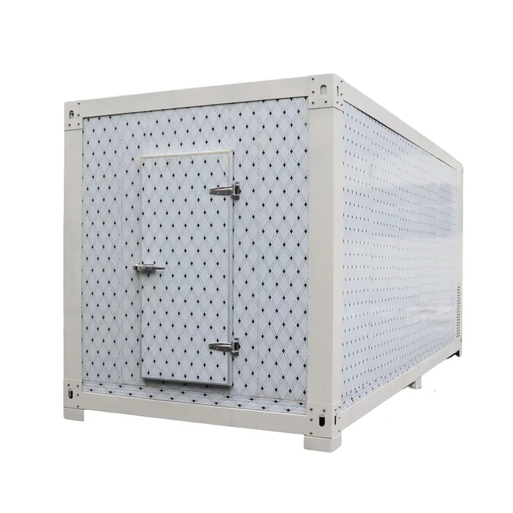 Ultra bassa temperatura-60C contenitore contenitore congelatore cella frigorifera contenitore Reefer 20ft 40ft custom fornito