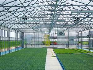 โรงเรือนปลูกพืชเชิงพาณิชย์แบบโพลีทิโอนันท์ โครงสร้างแข็งแรง สำหรับปลูกมะเขือเทศ ขาย - Product Image 6