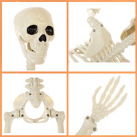 Figurine de squelette d'Halloween transfrontalière 0128 – Os humains simulés pour décoration de maison hantée et accessoires de fête d'horreur