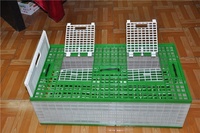 Cages à pigeons d'élevage en couches, cages à oiseaux en forme de château, cages de transport en plastique pour cailles et pigeons