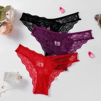 Ropa Interior Transparente de Tiro Bajo para Adultos Más Vendida, Tanga de Encaje para Dama con Realce de Cadera y Calado