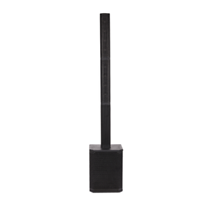 Système de haut-parleurs colonne à moule privé, subwoofer actif en contreplaqué de 10 pouces, haut-parleur DJ DSP bi-amplifié classe D pour spectacles en direct, églises, vente en gros - Product Image 1
