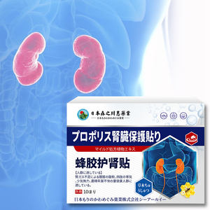 Tempelan perlindungan ginjal mengurangi nyeri punggung bawah, lutut lemah, tumpahan, dan sensitivitas dingin. - Product Image 3