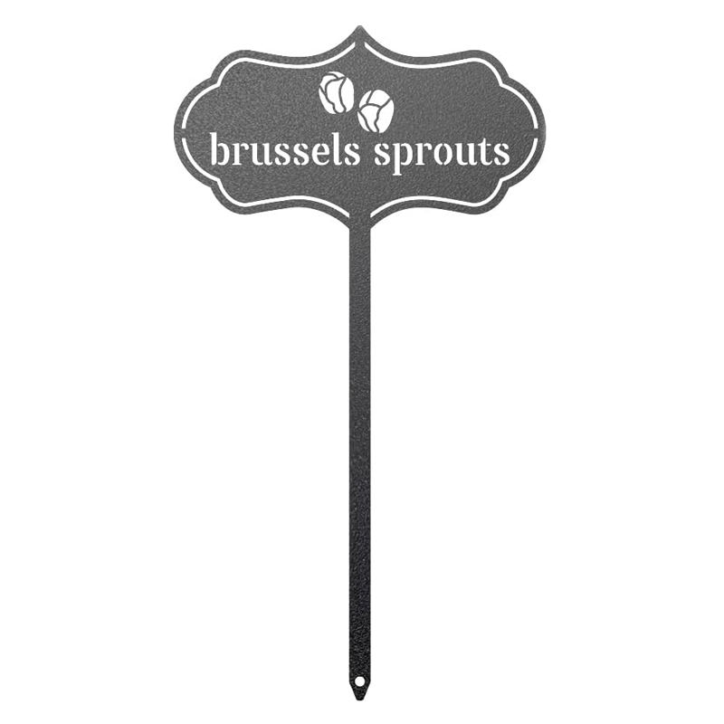 สีดำ-บรัสเซลส์ถั่วงอก