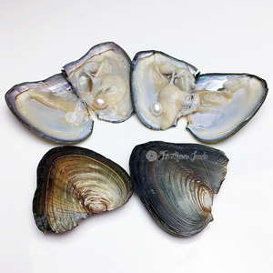Bán buôn ngọc trai nước ngọt vỏ sò mong muốn hàu với nhiều ngọc trai màu sắc tự nhiên fojewelry DIY crafting chân không bao bì - Product Image 2