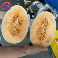 Industriële automatische halveer- en snijmachine voor kool en cantaloupe