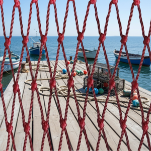 <span class=keywords><strong>Filet</strong></span> <span class=keywords><strong>de</strong></span> pêche <span class=keywords><strong>professionnel</strong></span> en <span class=keywords><strong>filet</strong></span> <span class=keywords><strong>de</strong></span> chalut, <span class=keywords><strong>prix</strong></span> d'usine pour l'aquaculture, <span class=keywords><strong>filet</strong></span> <span class=keywords><strong>de</strong></span> pêche <span class=keywords><strong>de</strong></span> haute qualité, maille large, RGSN 380D, épaisseur 0,32 mm-5 mm, polyester - Product Image 5