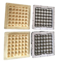 30 moule de caisse d'oeufs pour la machine de fabrication de plateau d'oeufs, moules de plateau d'oeufs en plastique, moules de plateau d'oeufs en aluminium