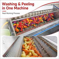 Machine électrique à laver et à peler les pommes de terre 150 kg/h, brosse rotative pour le lavage et le pelage des pommes de terre, des carottes, du gingembre et des légumes racineux