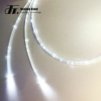 Cable de Fibra Óptica Multicore con Luz Estelar para Piscina, Rollo de Fibra Óptica con Extremo Luminoso
