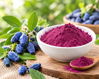 Geen toevoegingen, geen pigmenten, voedingsmiddelenkwaliteit, natuurlijk Haskap fruit- en bessenpoeder, Lonicera Caerulea