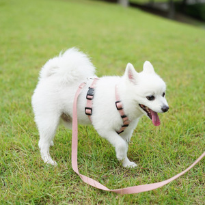 Manufacturer supplies <b>dog</b> leashes and pet supplies, Korean style, simple design, <b>dog</b> chain, <b>dog</b> leash, pet leash for outdoor - Product Image 2