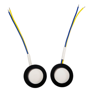 Transductor Cerámico Piezoeléctrico de Vidrio Esmaltado de Nuevo Estilo, 20 mm, 1.7 MHz, <span class=keywords><strong>Placa</strong></span> Atomizadora Ultrasónica de Alta Frecuencia - Product Image 1