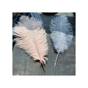 Sıcak satış özel seçilmiş Retro Vintage düğün Metal tükenmez kalem dekoratif gerçek doğal devekuşu tüy divit kalem Quill kalemler - Product Image 5