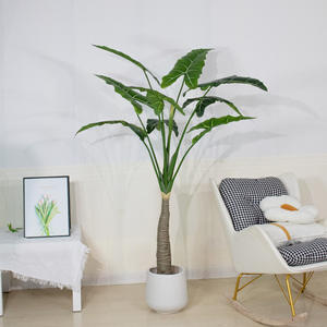 Vente chaude Artificielle Feuille D'<span class=keywords><strong>arum</strong></span> Plante Simulation Plante Verte <span class=keywords><strong>Arum</strong></span> <span class=keywords><strong>En</strong></span> <span class=keywords><strong>Pot</strong></span> Bureau Intérieur Extérieur Décoration Plante - Product Image 3