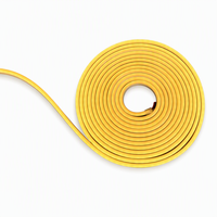 Bande LED néon flexible à émission latérale 12V 8mm 3000K Ra80 Rouleau de 5m PVC IP65 pour Hôtels et Aménagements Extérieurs - Éclairage Décoratif Extérieur du Fabricant