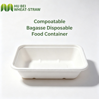 OEM Wegwerp Bagasse Voedselcontainers Biologisch afbreekbaar & composteerbaar Afhaallocaties Lunchboxen Magnetronbestendig PFAS-vrij