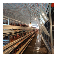 Prix de gros, système d'abreuvement automatique pour élevage de poulets, cage à oiseaux, cages à poules pondeuses à vendre, bon matériau
